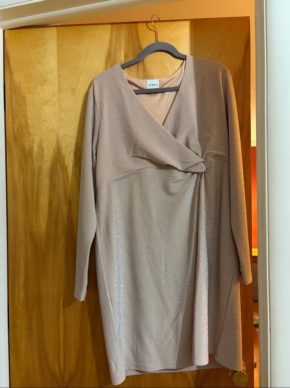 Serra Shimmery Beige Wrap-Front Long Sleeve Dress